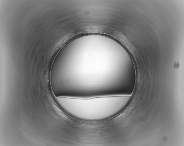 X0000094380441200711020828