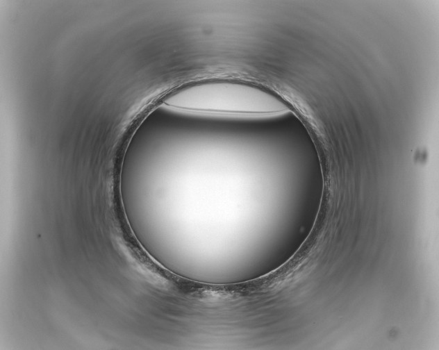 X0000094380442200711020829