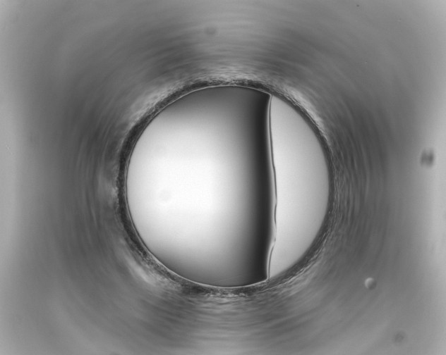 X0000094380443200711020829