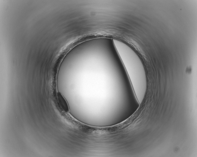 X0000094380444200711020829