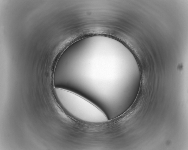 X0000094380445200711020829