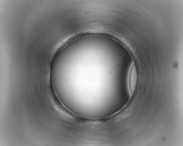 X0000094380446200711020829