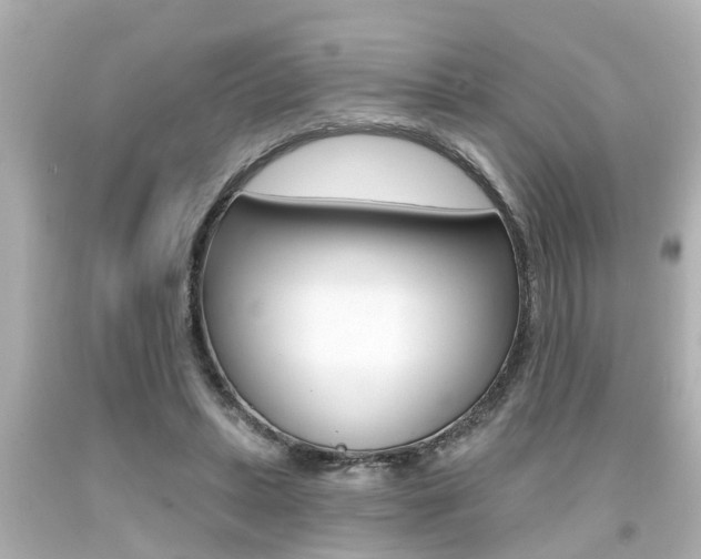X0000094380447200711020829