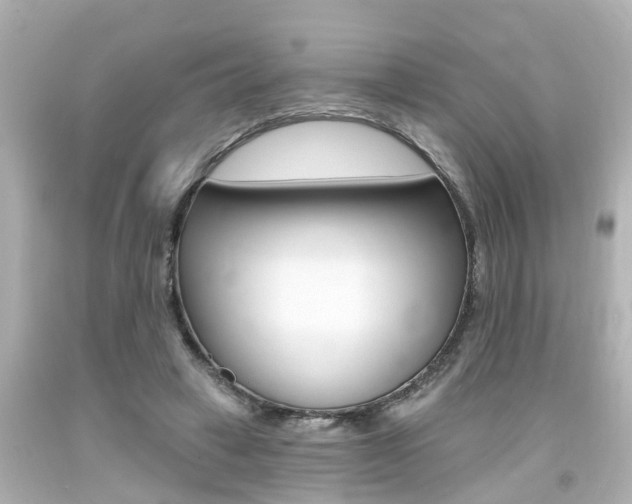 X0000094380449200711020829