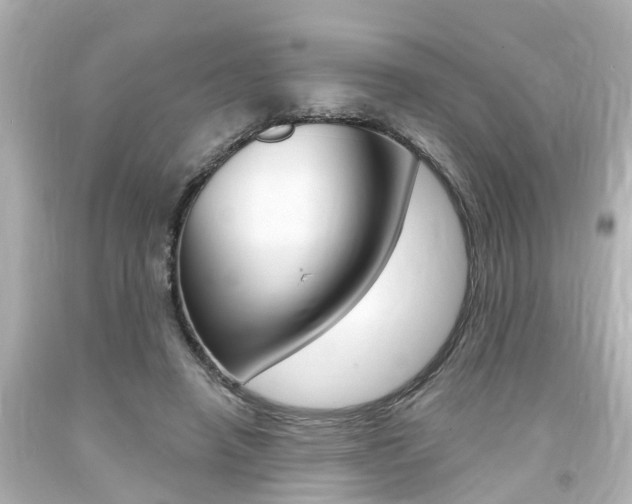 X0000094380450200711020829