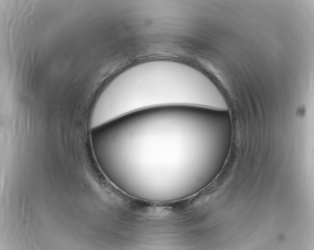 X0000094380451200711020829
