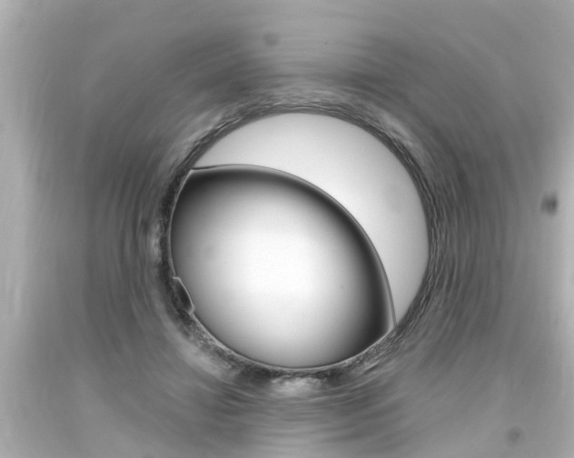 X0000094380452200711020829