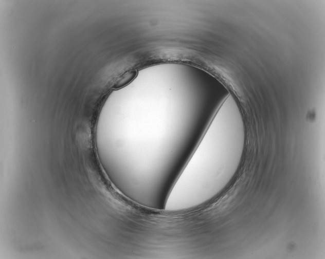 X0000094380453200711020829