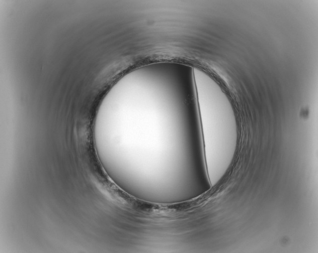 X0000094380455200711020829