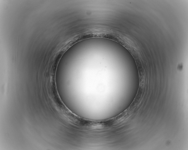X0000094380456200711020829