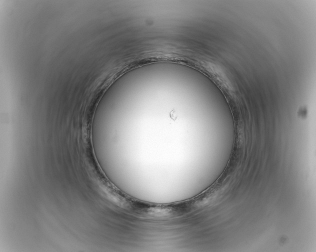 X0000094380457200711020829