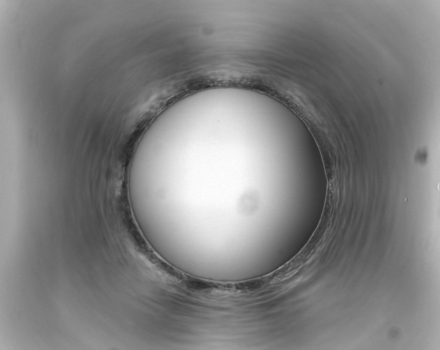 X0000094380458200711020829