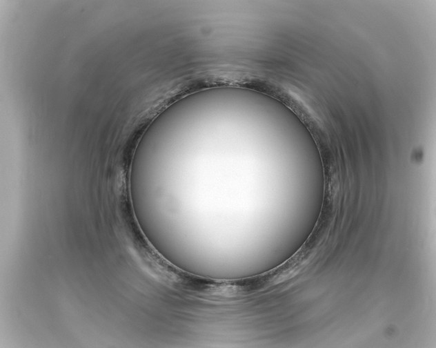 X0000094380459200711020829