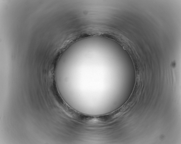X0000094380460200711020829