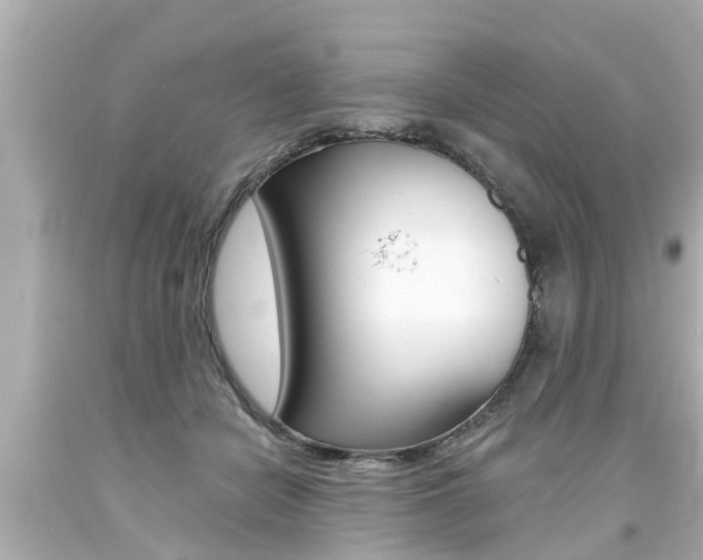 X0000094380462200711020829