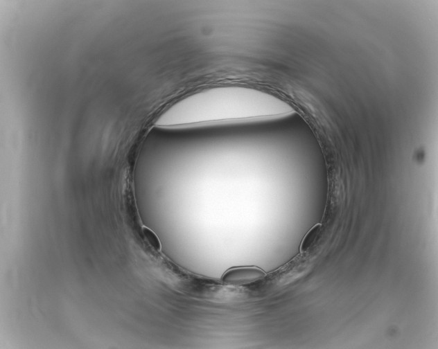X0000094380463200711020829
