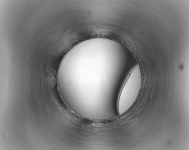 X0000094380464200711020829