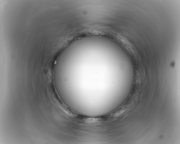 X0000094380465200711020829