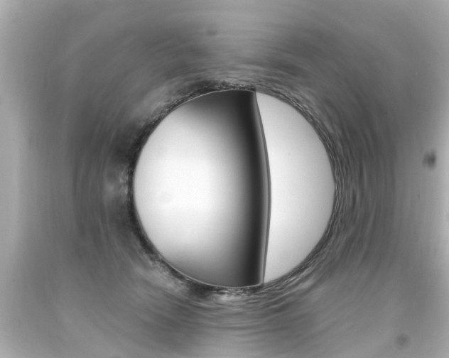 X0000094380466200711020829