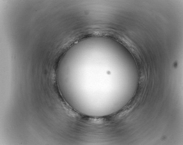 X0000094380469200711020829