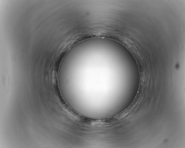X0000094380470200711020829