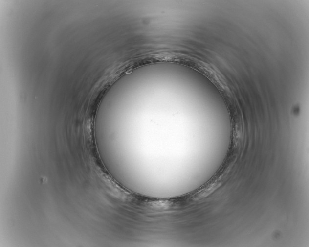 X0000094380473200711020829