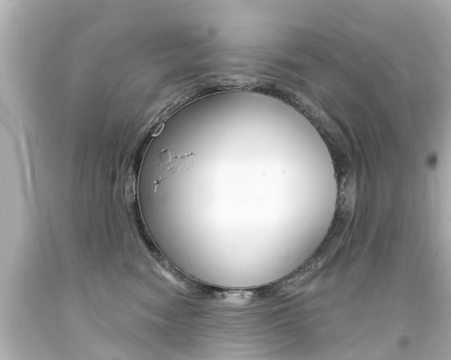 X0000094380474200711020829