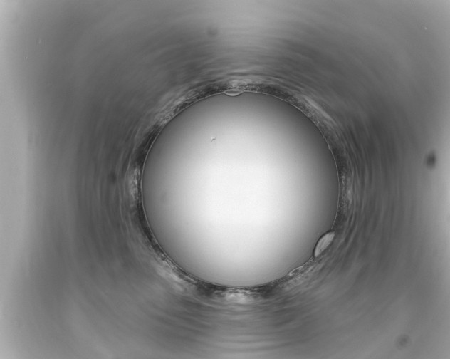 X0000094380475200711020829
