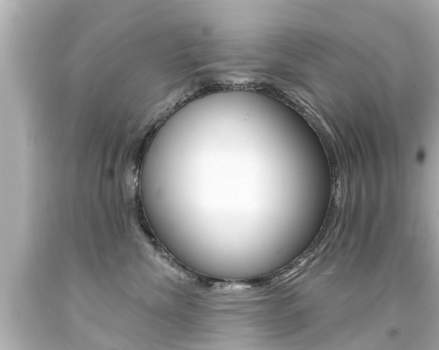 X0000094380476200711020829