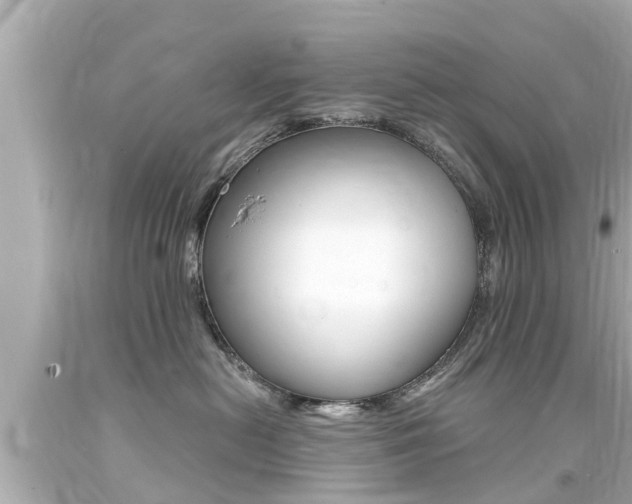 X0000094380478200711020829