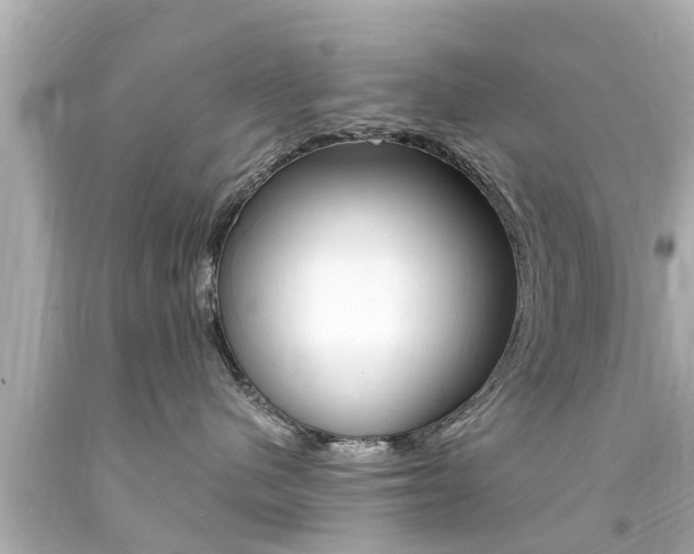 X0000094380480200711020829