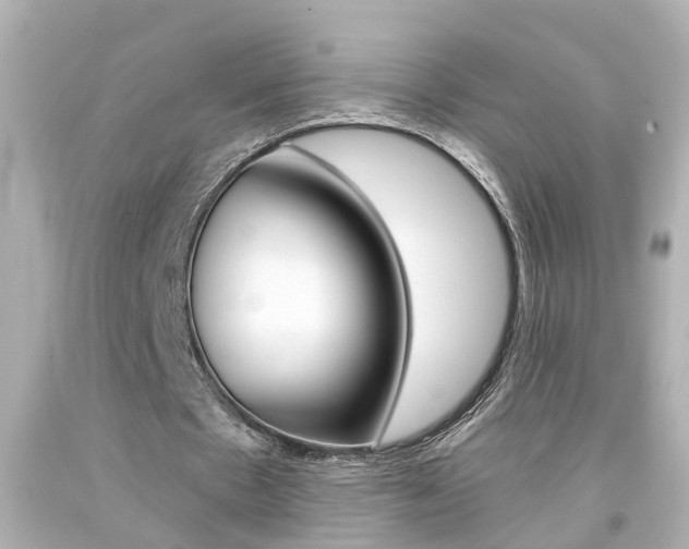 X0000094380481200711020828
