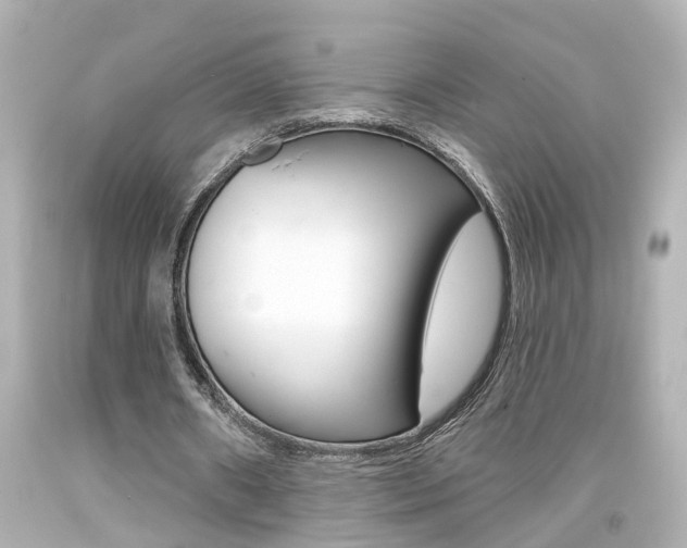 X0000094380482200711020828