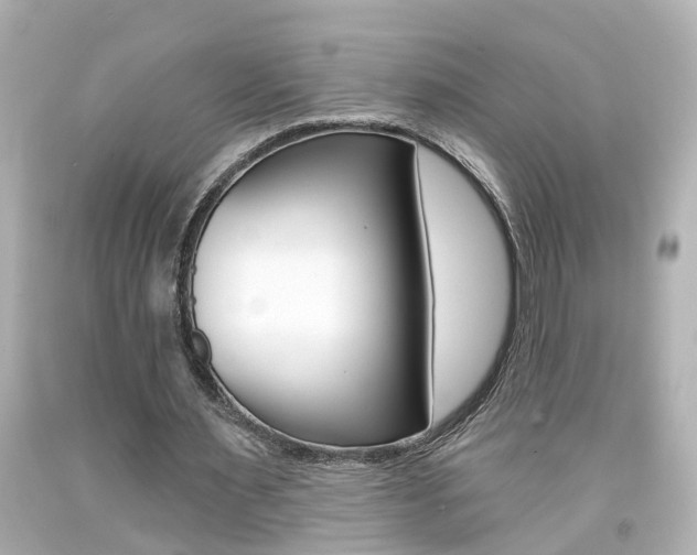 X0000094380483200711020828