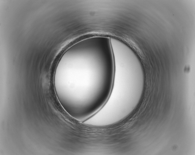 X0000094380484200711020828