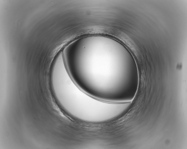 X0000094380485200711020828