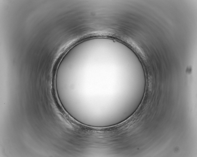 X0000094380486200711020828