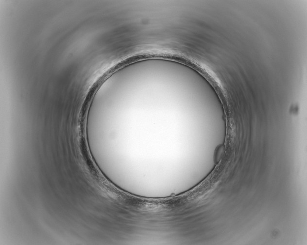 X0000094380487200711020828