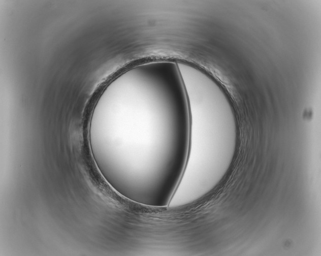 X0000094380488200711020828