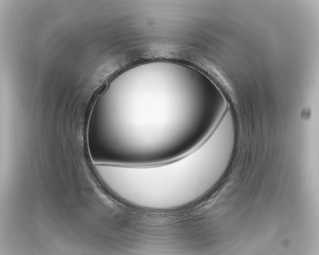 X0000094380489200711020828