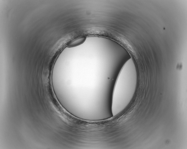 X0000094380490200711020828
