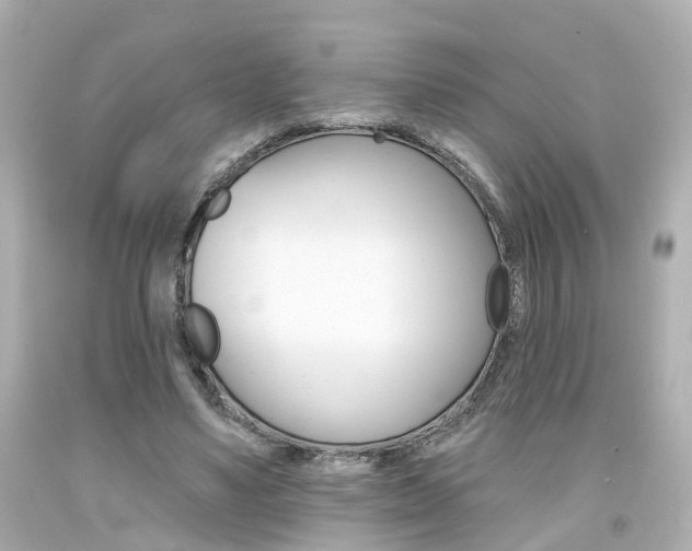 X0000094380491200711020828