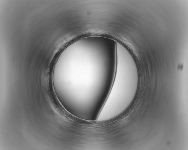 X0000094380492200711020828