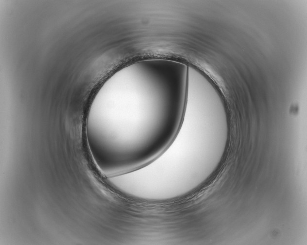 X0000094380493200711020828
