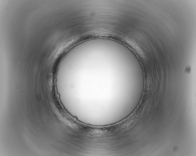 X0000094380494200711020828