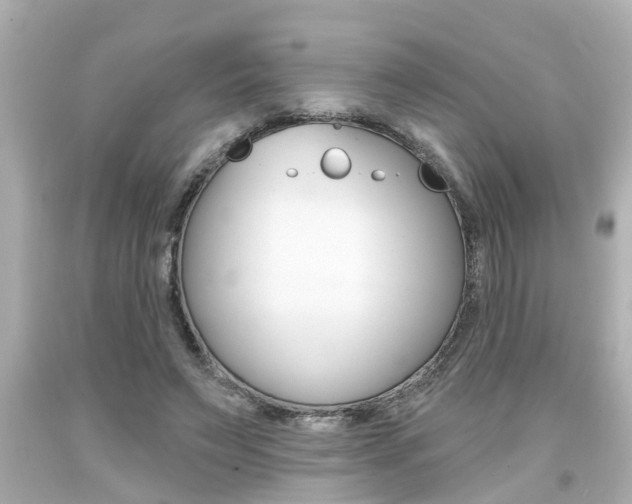 X0000094380495200711020828