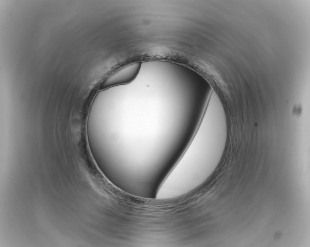 X0000094380496200711020828