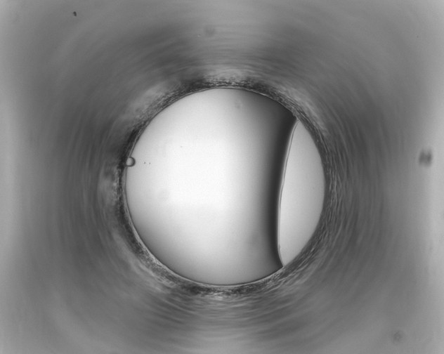 X0000094380498200711020828