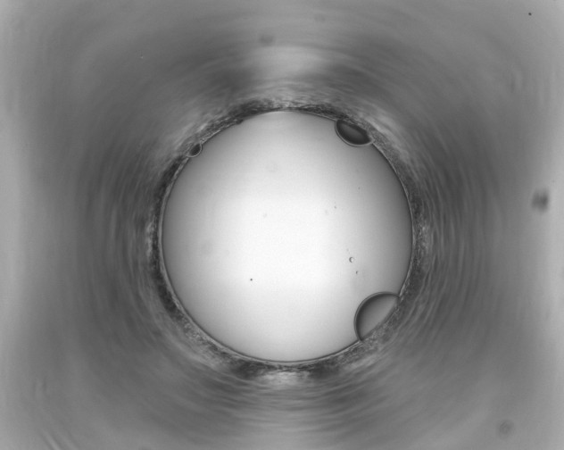 X0000094380499200711020828