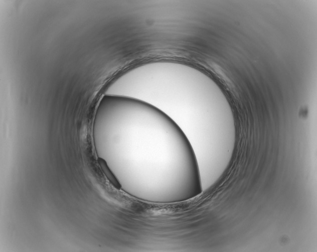 X0000094380500200711020828